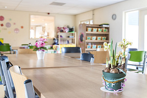 BSO en VSO het Arnoldusparkje